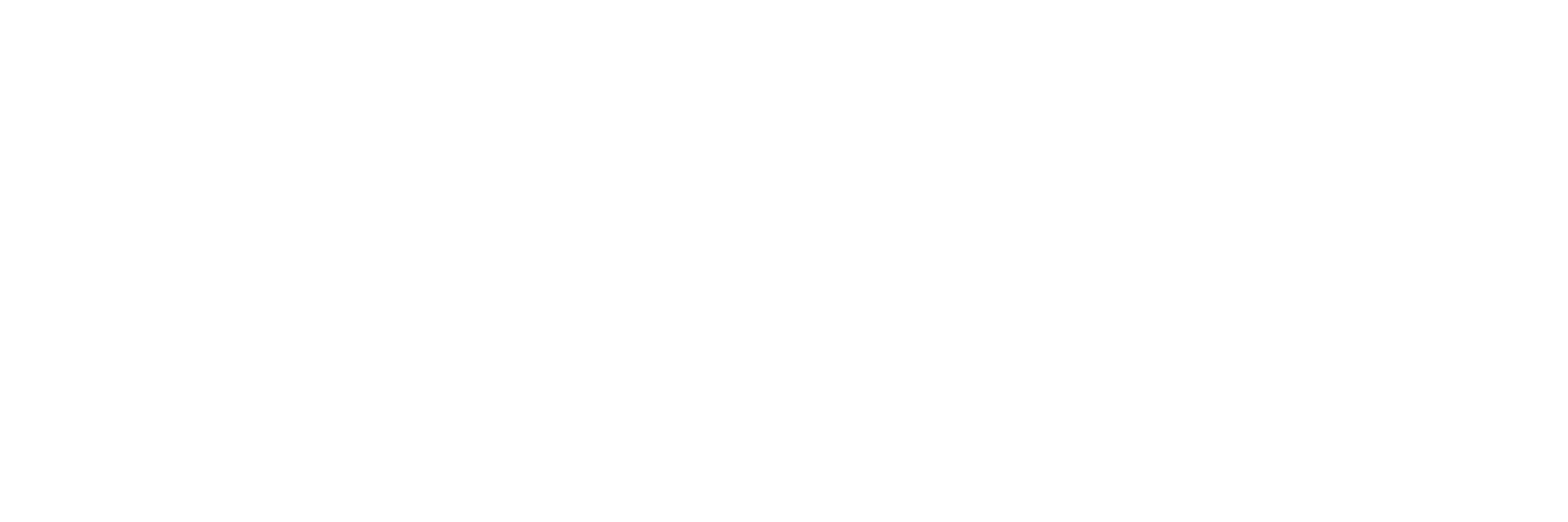 Auto Elite